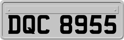 DQC8955