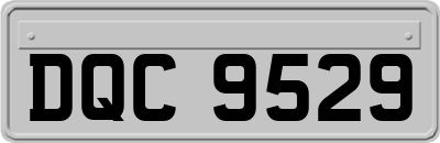 DQC9529