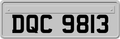 DQC9813