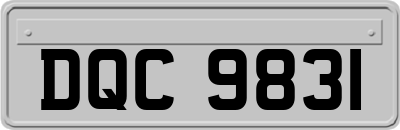 DQC9831