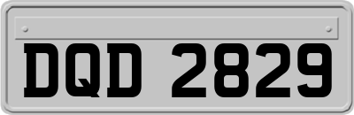 DQD2829