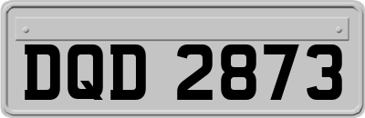 DQD2873