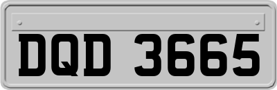 DQD3665