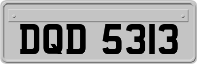 DQD5313