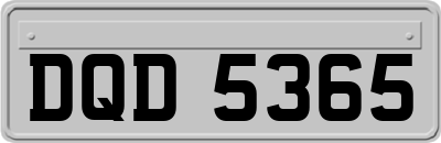 DQD5365