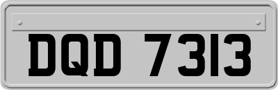 DQD7313