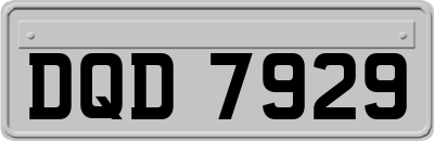 DQD7929