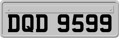 DQD9599