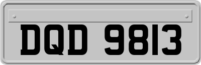 DQD9813