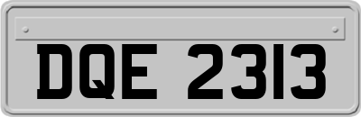 DQE2313