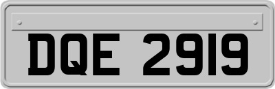 DQE2919