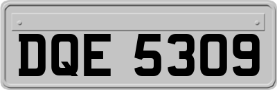 DQE5309