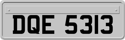 DQE5313