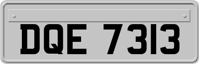 DQE7313