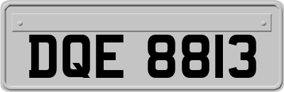 DQE8813