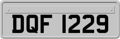 DQF1229