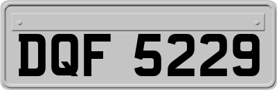 DQF5229