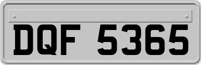 DQF5365