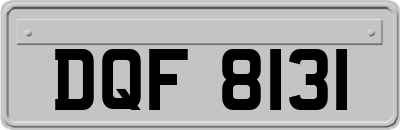 DQF8131