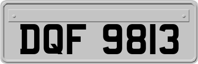 DQF9813