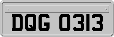 DQG0313