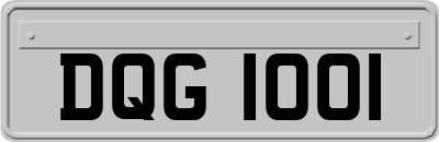 DQG1001