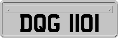 DQG1101