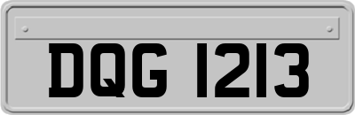 DQG1213