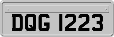 DQG1223
