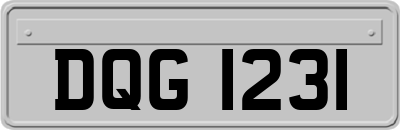 DQG1231