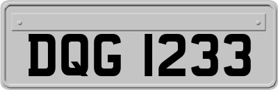 DQG1233