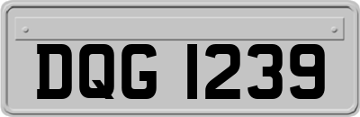 DQG1239