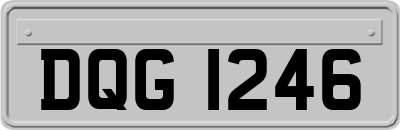 DQG1246