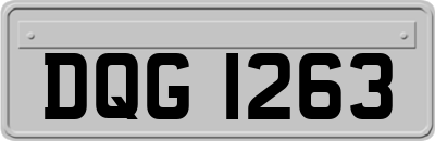 DQG1263