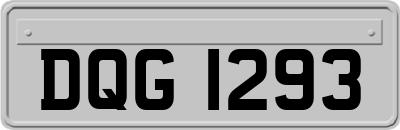 DQG1293