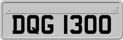 DQG1300