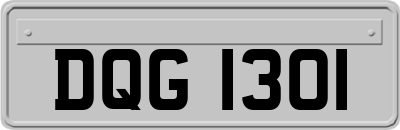 DQG1301