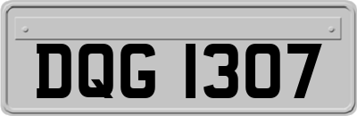 DQG1307