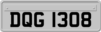 DQG1308