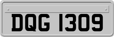 DQG1309