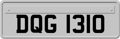 DQG1310