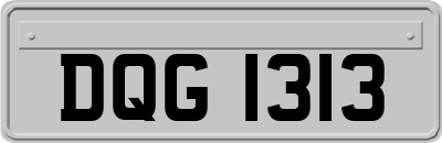 DQG1313