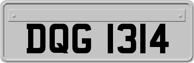 DQG1314