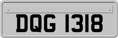 DQG1318