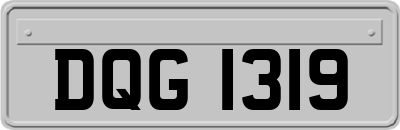 DQG1319