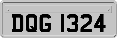 DQG1324