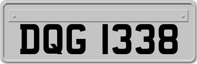 DQG1338
