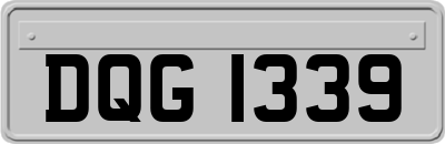 DQG1339