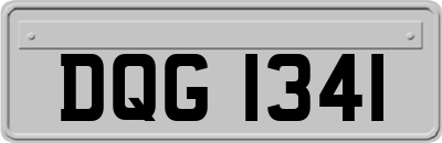 DQG1341
