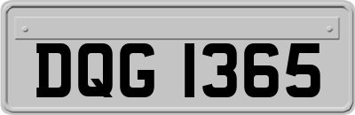 DQG1365